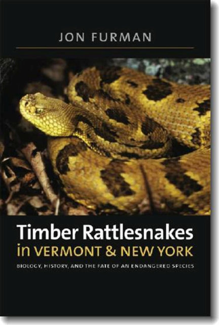 Timber Rattlesnakes in Vermont  New York