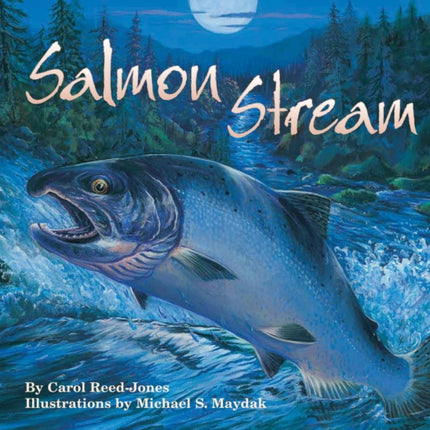 Salmon Stream