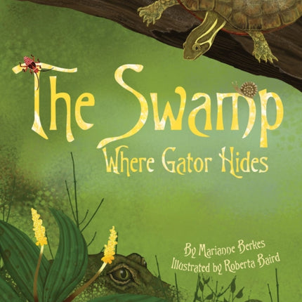 The Swamp Where Gator Hides