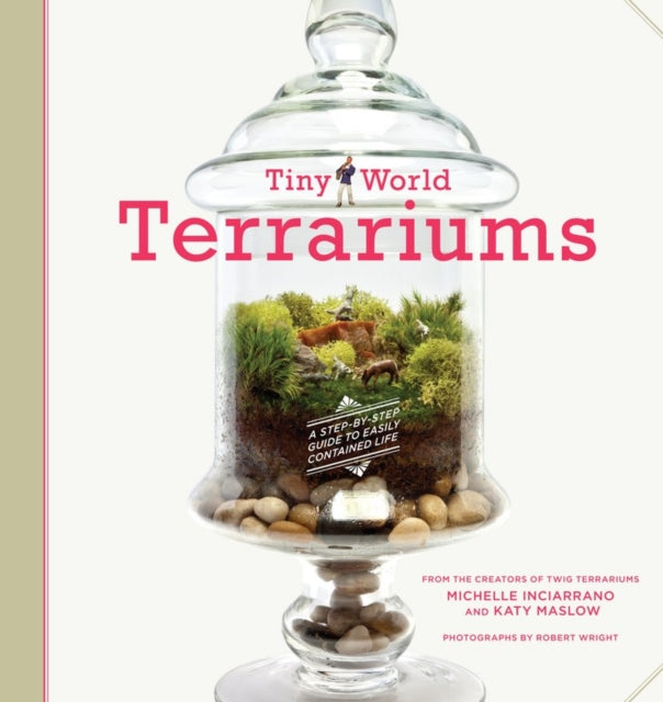 Tiny World Terrariums: Guide