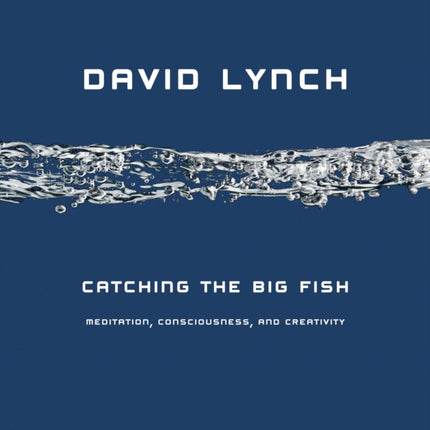 Catching the Big Fish Meditation Consciousness and Creativity