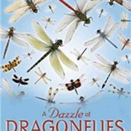 A Dazzle of Dragonflies