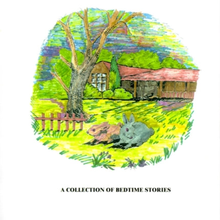 Maxwell's Tales: A Collection of Bedtime Stories for Children