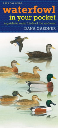 Waterfowl in Your Pocket: A Guide to Water Birds