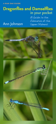 Dragonflies and Damselflies in Your Pocket: A