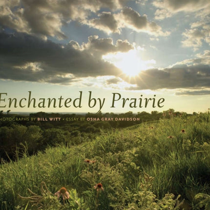 Enchanted by Prairie