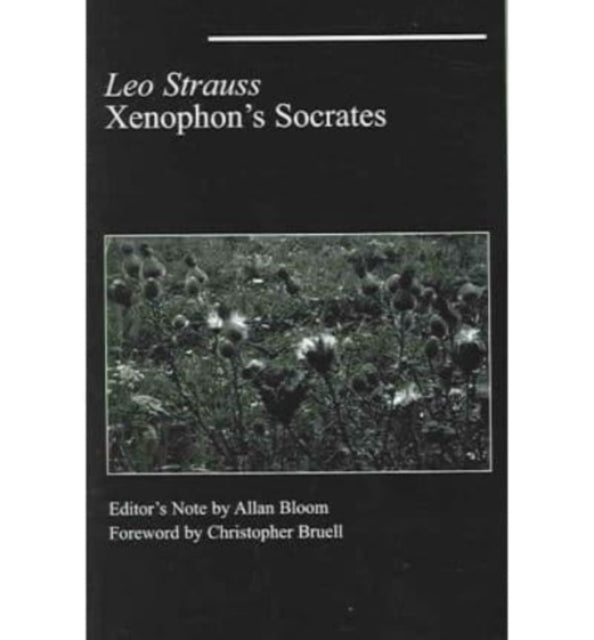 Xenophon`s Socrates