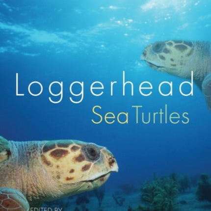 Loggerhead Sea Turtles