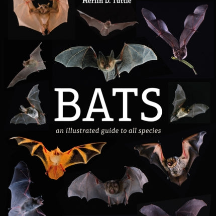 Bats: An Illustrated Guide to All Species