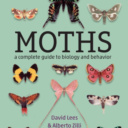 Moths: A Complete Guide to Biology and Behavior