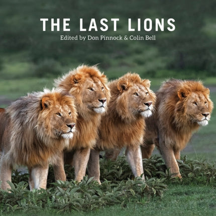 The Last Lions