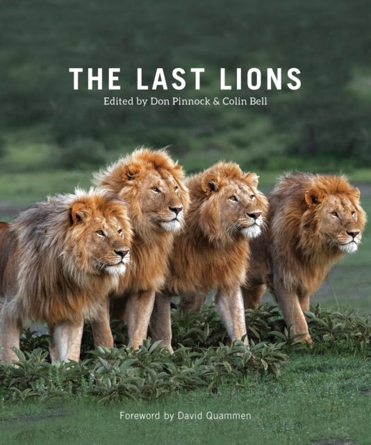The Last Lions