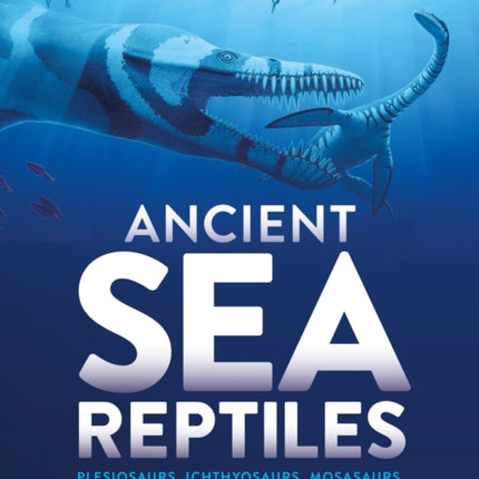 Ancient Sea Reptiles