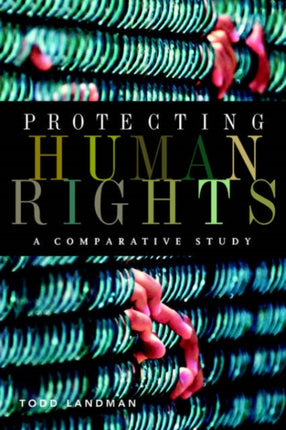 Protecting Human Rights: A Comparative Study