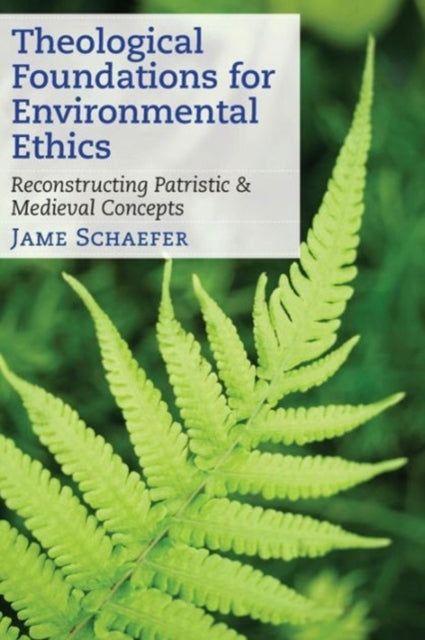 Theological Foundations for Environmental Ethics: Reconstructing Patristic and Medieval Concepts