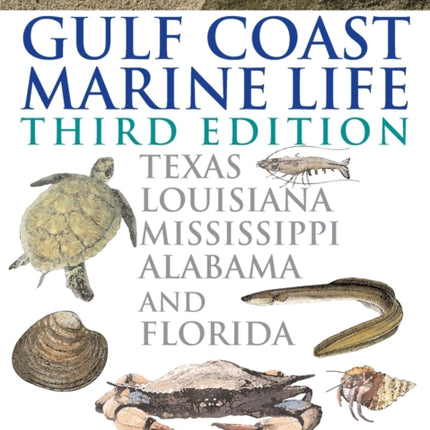 Beachcomber's Guide to Gulf Coast Marine Life: