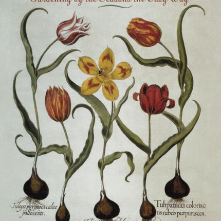 Earthly Delights: Gardening by the Seasons the