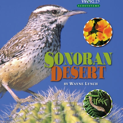 The Sonoran Desert