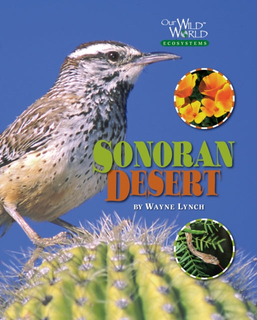 The Sonoran Desert