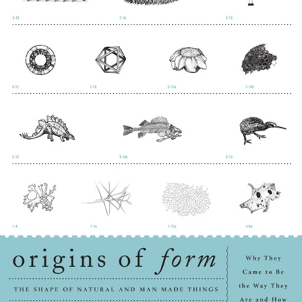 Origins of Form: The Shape of Natural and