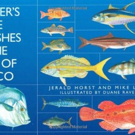 Anglers Guide to Fishes of the Gulf of Mexico