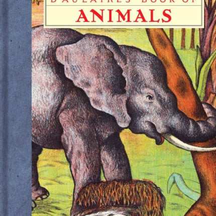 D'aulaires' Book Of Animals