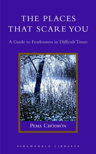 The Places That Scare You: A Guide to Fearlessness in Difficult Times