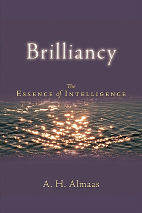 Brilliancy The Essence of Intelligence 02 Diamond Body Series