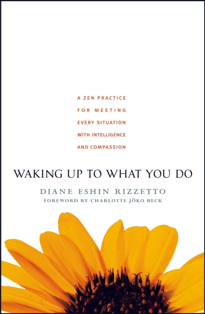 Waking Up to What You Do: A Zen Practice for Meeting Every Situation with Intelligence and Compassion