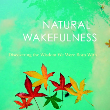 Natural Wakefulness: Discovering the Wisdom We Were Born With