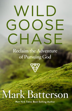 Wild Goose Chase: Reclaiming the Adventure of Pursuing God