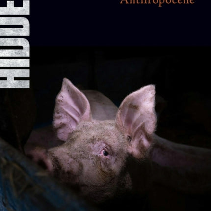 Hidden: Animals in the Anthropocene