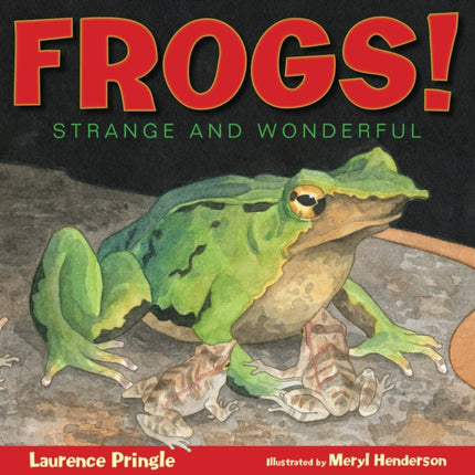 Frogs!: Strange and Wonderful