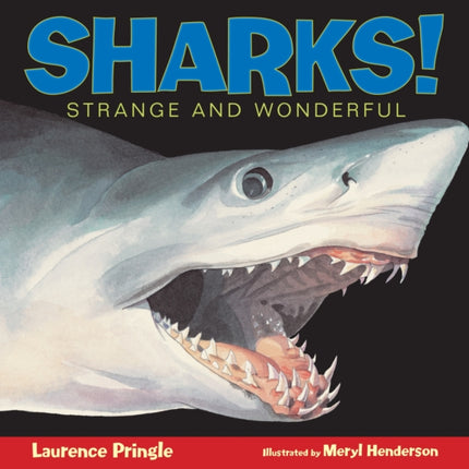 Sharks!: Strange and Wonderful