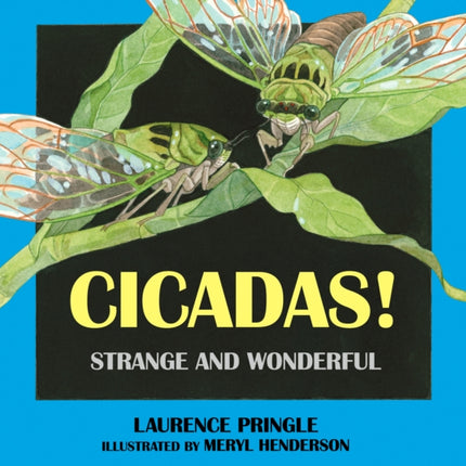 Cicadas!: Strange and Wonderful