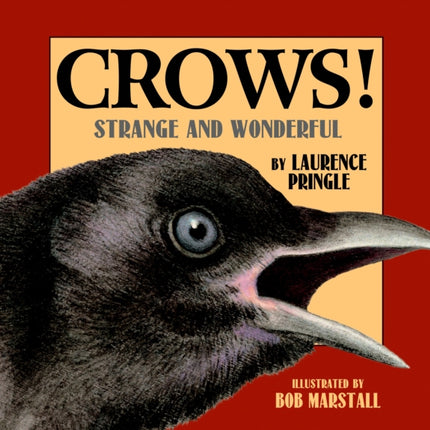 Crows!: Strange and Wonderful