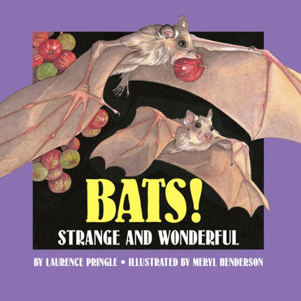 Bats!