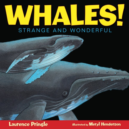 Whales!