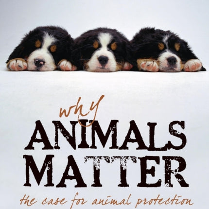 Why Animals Matter: The Case for Animal