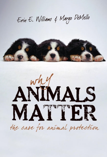 Why Animals Matter: The Case for Animal