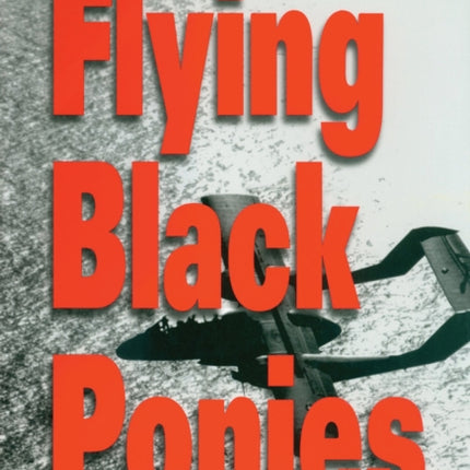 Flying Black Ponies The Navys Close Air Support