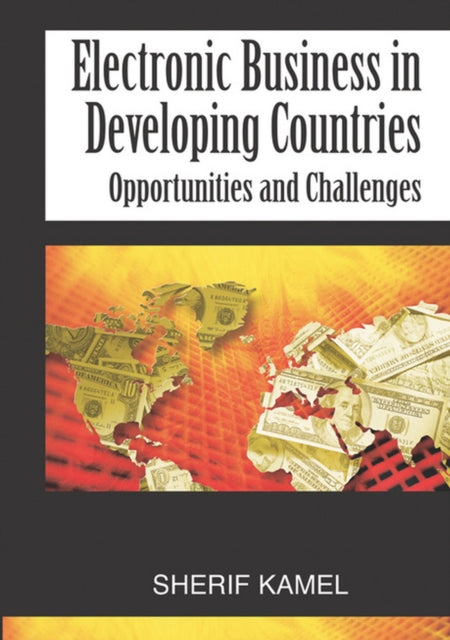 Electronic Business in Developing Countries: