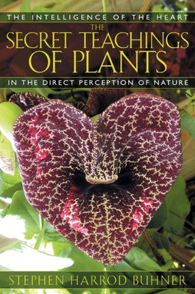 The Secret Teachings of Plants: The Intelligence of the Heart in Direct Perception to Nature