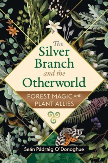 The Silver Branch and the Otherworld