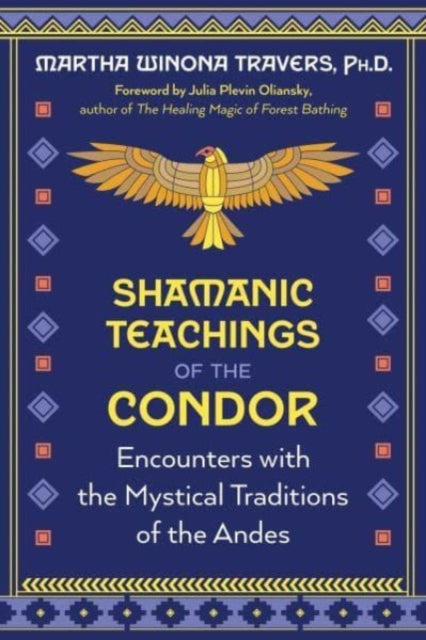 Shamanic Teachings of the Condor