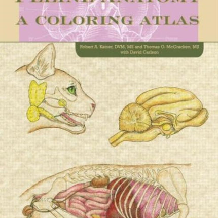 Feline Anatomy: A Coloring Atlas