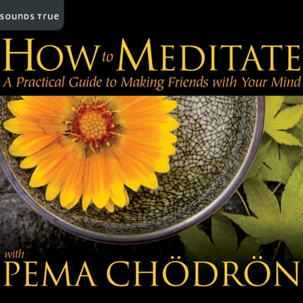 How to Meditate with Pema Chodron: A Practical Guide to Making Friends with Your Mind