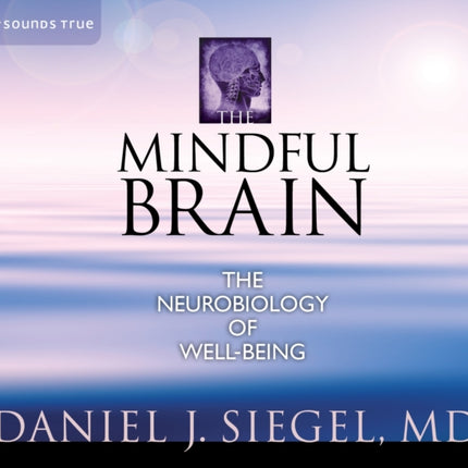 The Mindful Brain: The Neurobiology of Well-Being