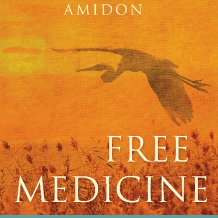 Free Medicine: Meditations on Nondual Awakening