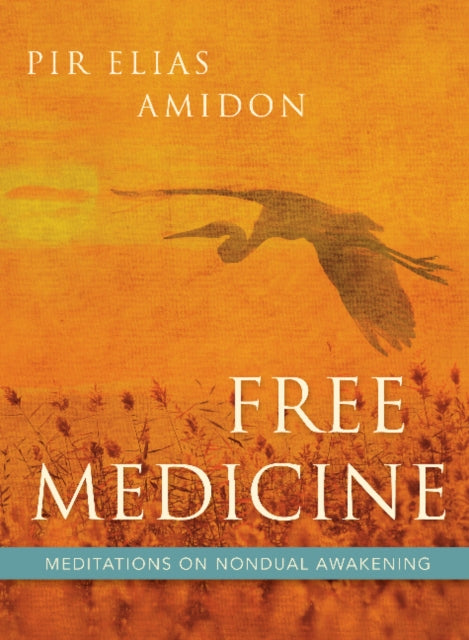 Free Medicine: Meditations on Nondual Awakening